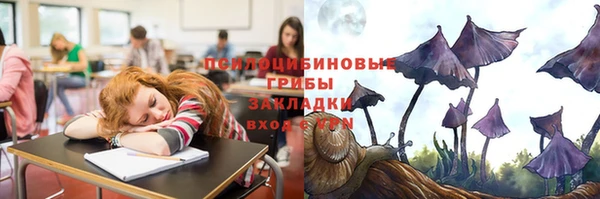 твердый Нефтекумск