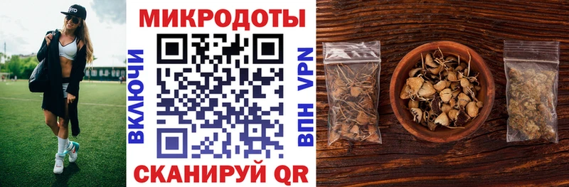 Галлюциногенные грибы GOLDEN TEACHER  Купить  Новопавловск 